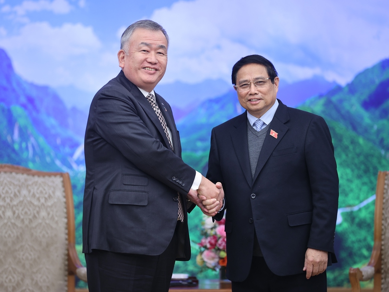 法国男篮以